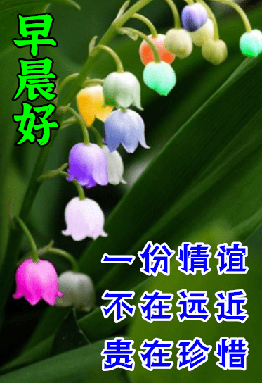 最漂亮早上好动态表情图片大全早上好动图美图大全