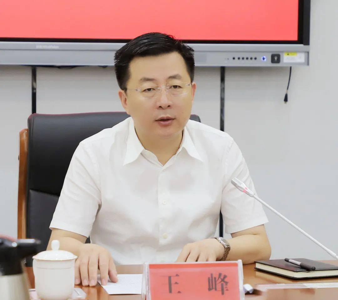 聊城市副市长王峰图片
