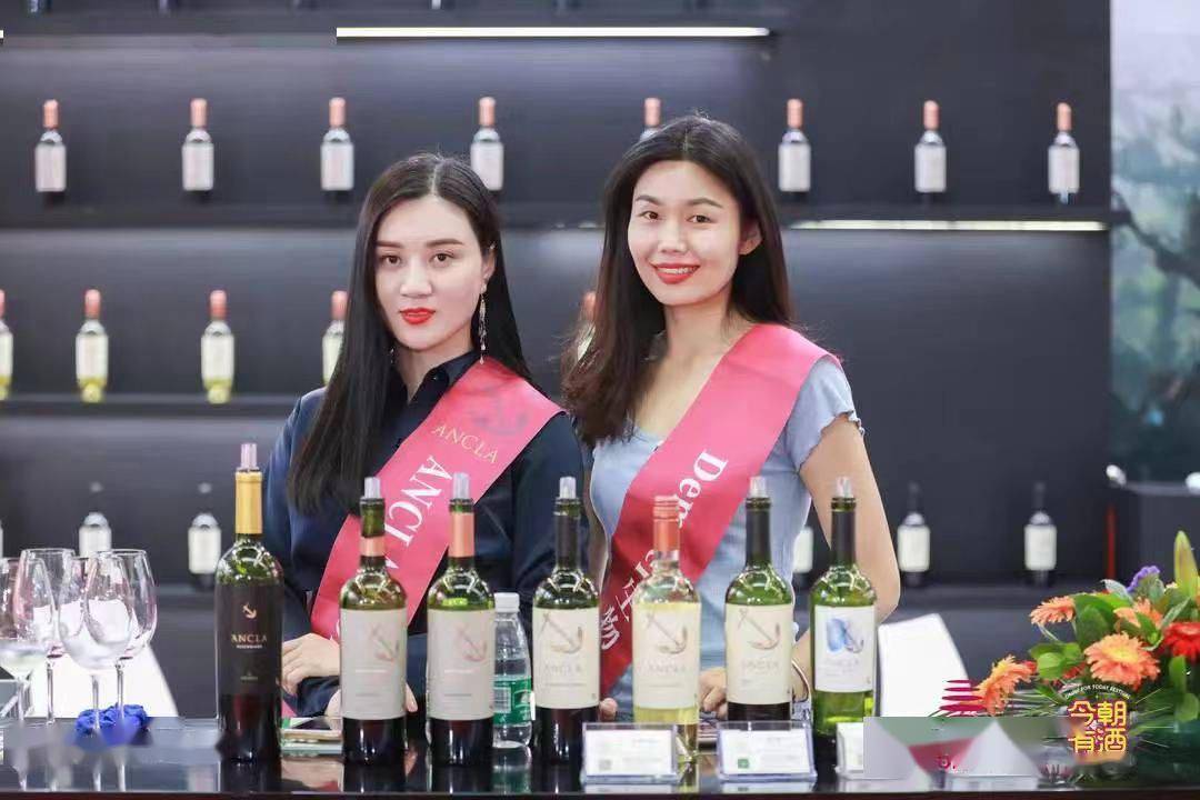 酒庄|一口气打卡3000+精品葡萄酒，深圳TOEwine酒展预约开始！