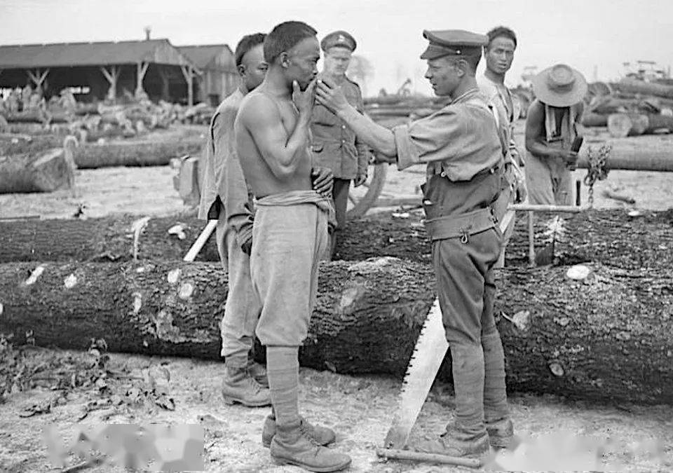 老照片看历史一战战场上的中国劳工