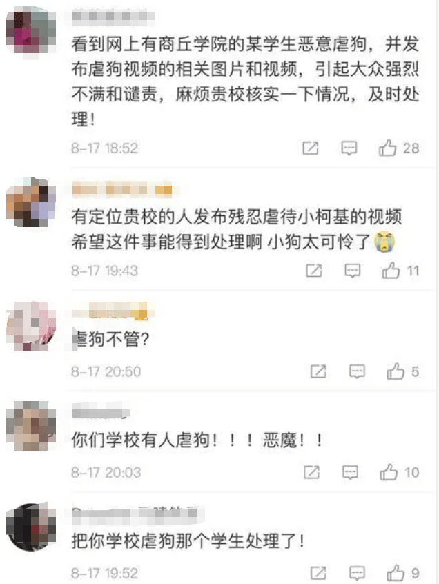 李某阳|大学生洗衣机搅柯基？警方通报：依法行拘5日