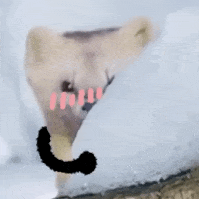 双手合十表情包复制 f751bc312eef4fac981b9ed5250b0b71.gif