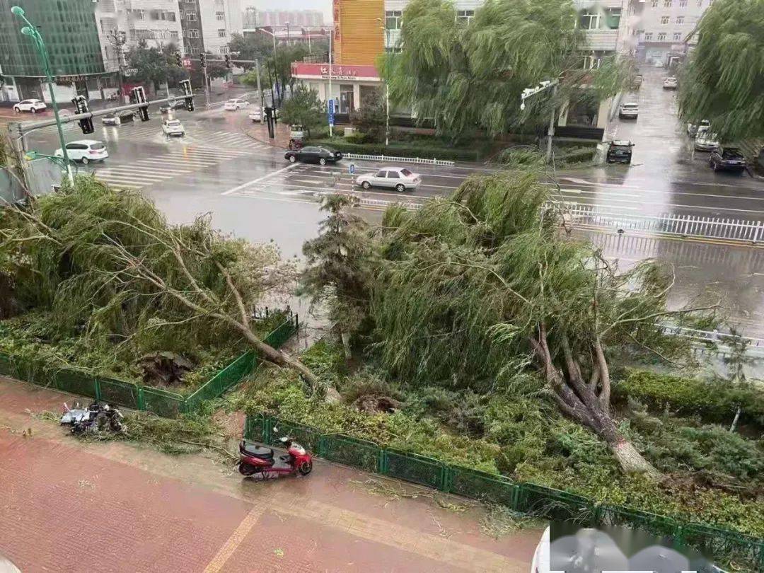 3m/s(十级风),阳原受灾严重,县气象台提前发布了雷电,大风,冰雹等预警