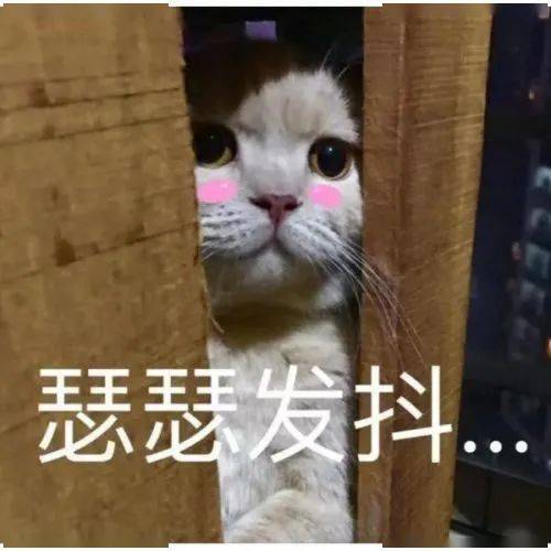 b30368ddd2964a6eb71c83ecdec9fb5c.jpeg
