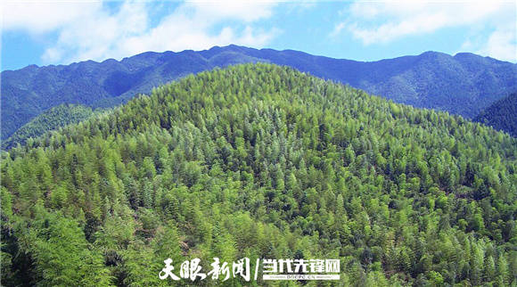 为国储材为民谋利 雷山县国家储备林 一期 Ppp建设项目成功签订4 8亿贷款 投资