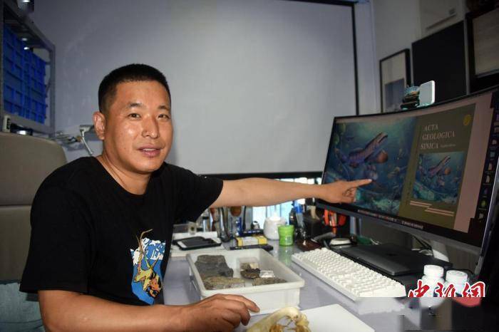 化石|我国首次发现2.9亿年前史前巨鲨瓣齿鲨化石：跨洋迁徙的顶级捕食者