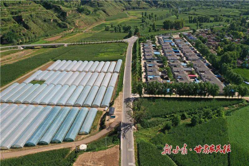 【图片新闻】灵台:乡村产业兴 绿色画卷美