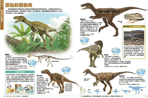 来袭|小学馆镇馆之宝来袭！权威百科带你重回神秘的恐龙时代