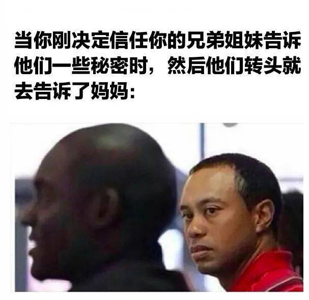 什么是真正的兄弟啊 7129c98c1f1b41238950fb04318dd799.jpeg