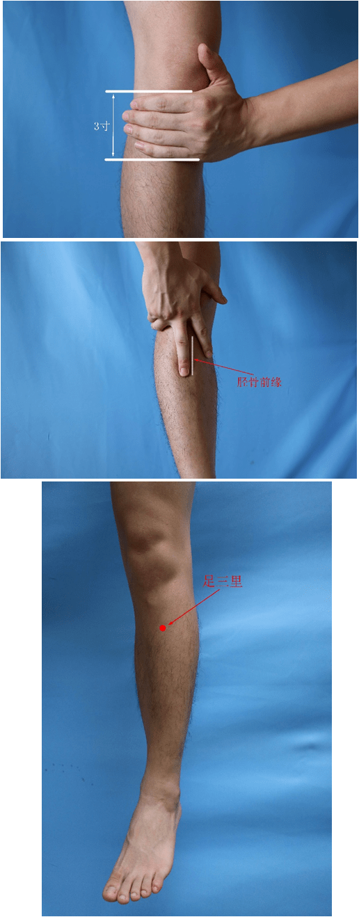 4丰隆在小腿外侧,外踝尖上8寸,胫骨前肌的外缘,条口外侧一横指处5