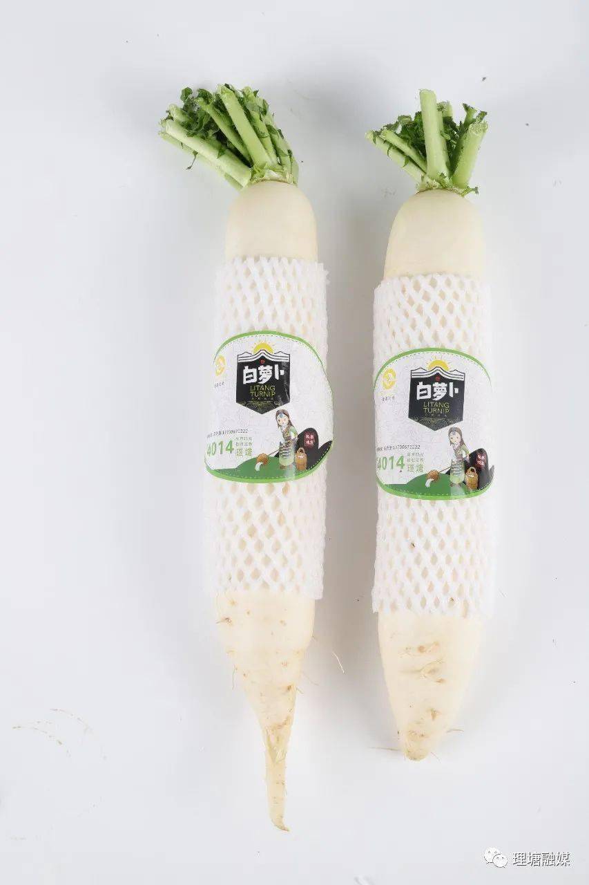 重磅预告|丁真家乡萝卜熟了,乡村振兴助农直播来啦!_理塘