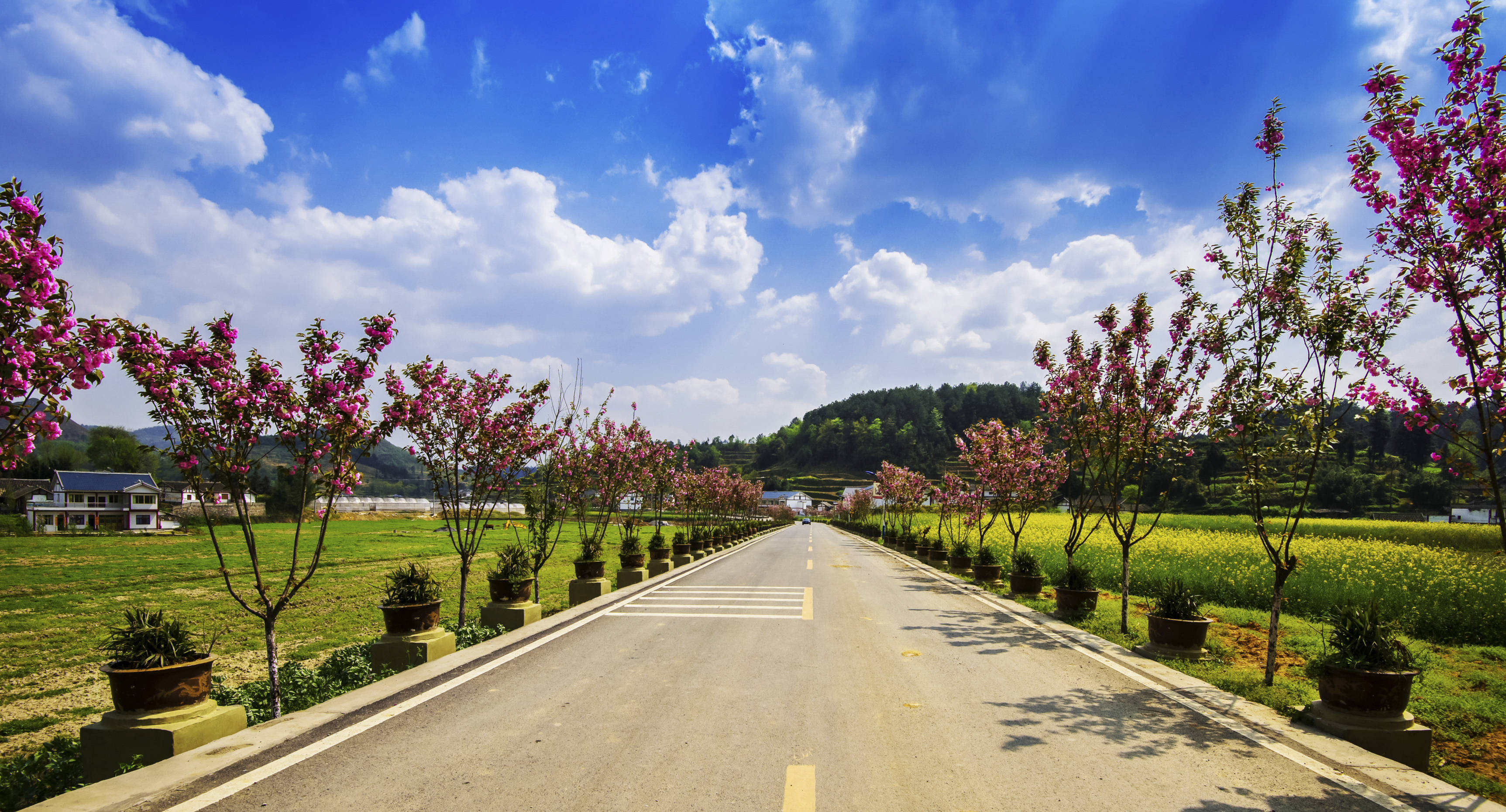 寻访长征历史步道 | 革命精神薪火传——遵义市播州区枫香镇花茂村至苟坝会议会址线路