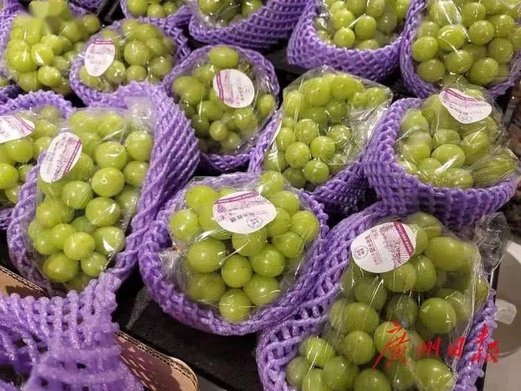 超市里大量上市的阳光玫瑰葡萄