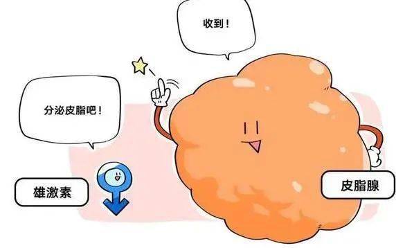 什么|肌肤油我不油天，火爆全网的“以油养肤”究竟是什么？