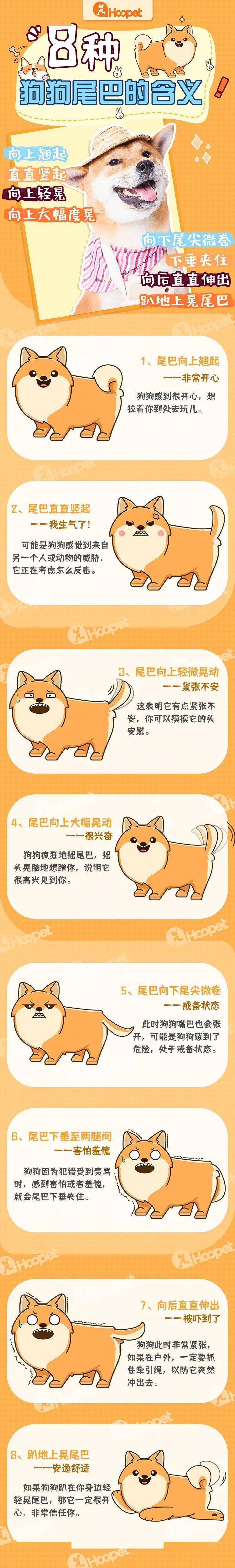 狗网络用语是什么意思=网络上说的狗是什么意思