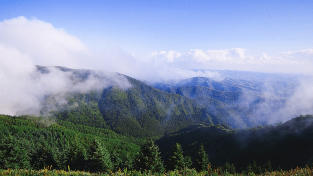 六盘山|美味来、美景到，今晚22:00《宁夏有礼了》请查收固原给你的甜蜜惊喜