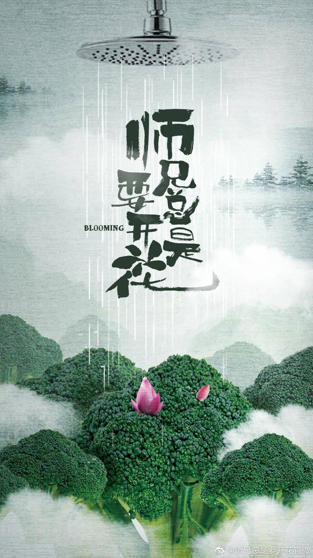 张天|演员动态周报 | 黄轩白百何《我的超级英雄》、陈晓毛晓彤《云襄传》、张天爱《阿麦从军》、周翊然《当我飞奔向你》等