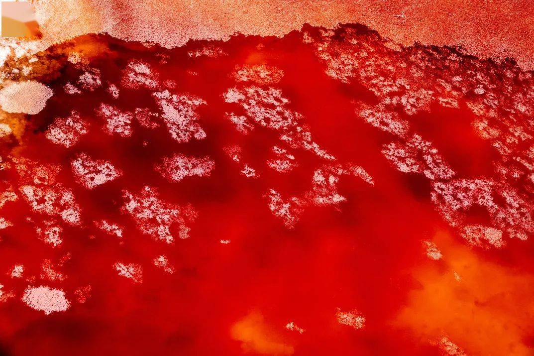 鲜有人知腾格里沙漠竟然有这么一片红海子实在太美了