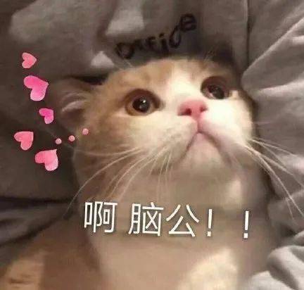 情侣万能聊天表情包老子的爱收好