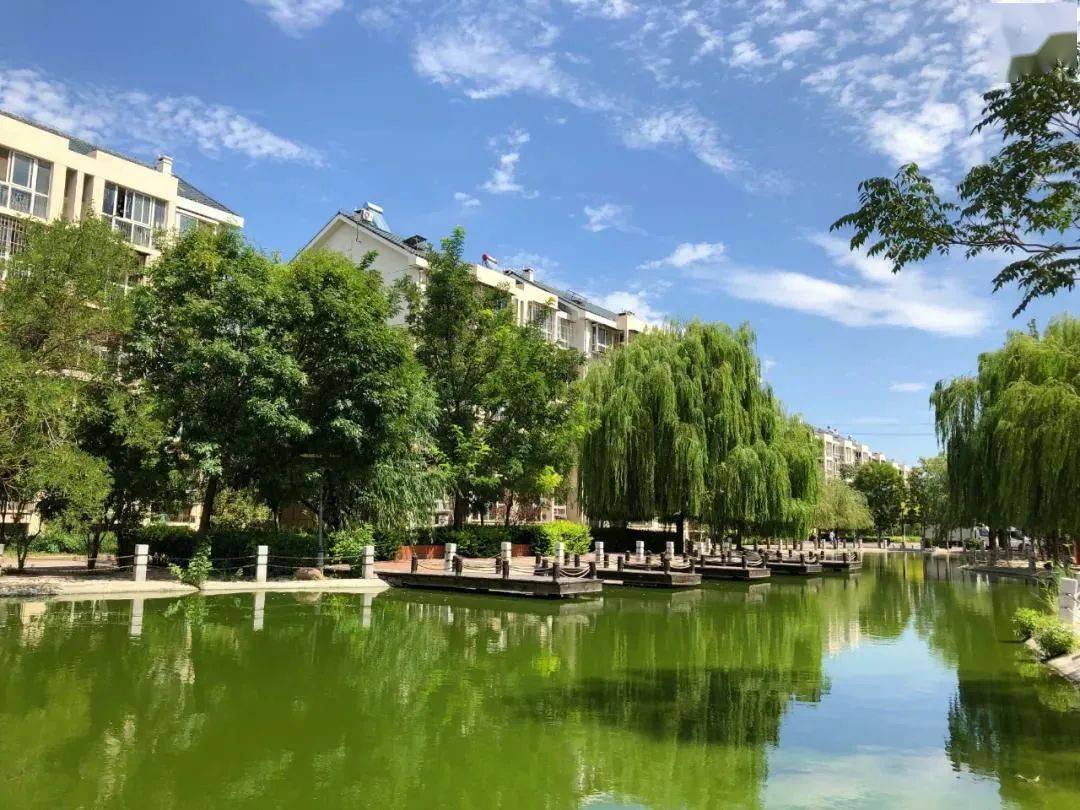 文明健康绿色环保西青区精武镇扎实推进生态精武建设不断蓄积绿色发展