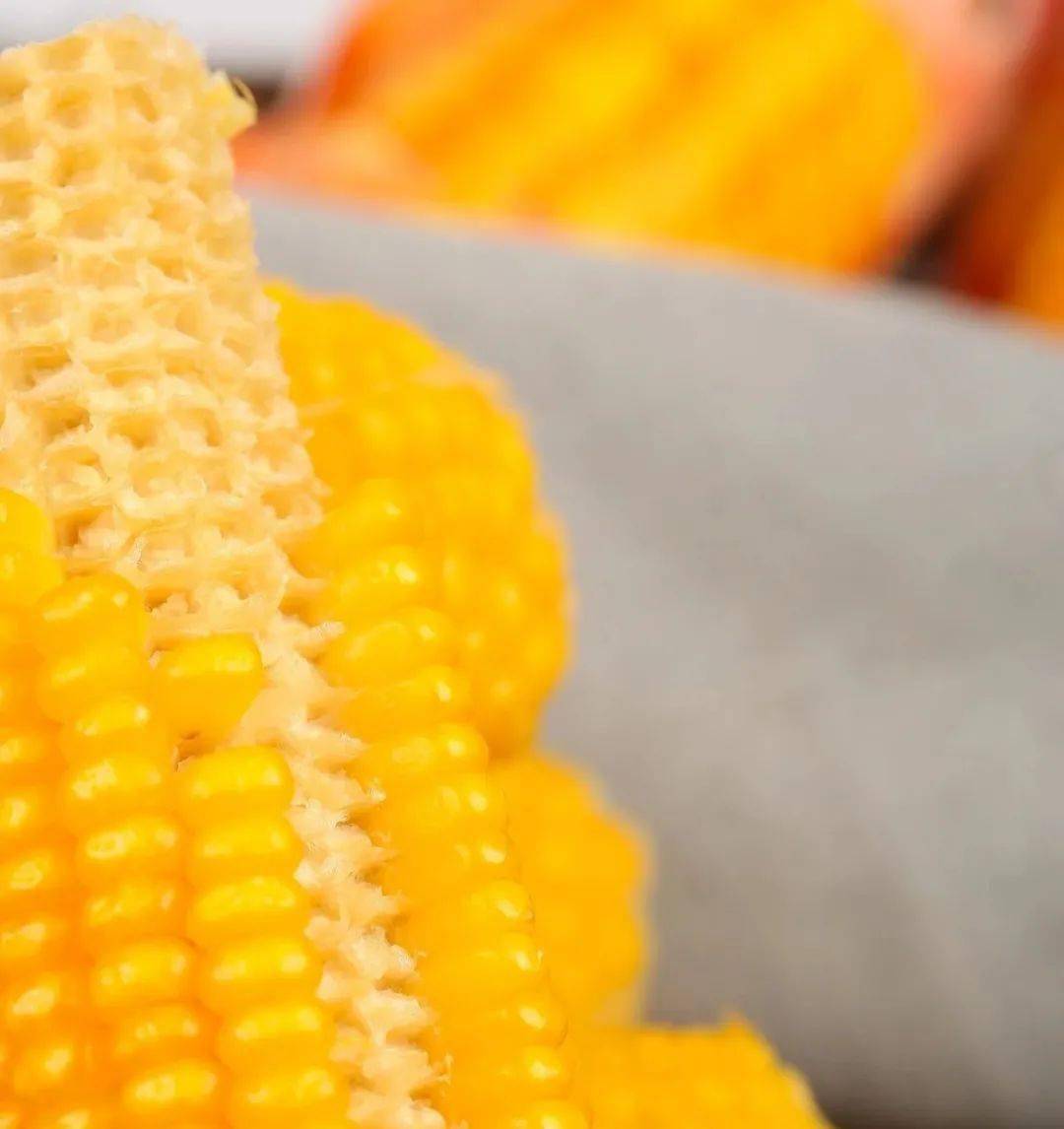 刘占文|太好吃了!不愧是获得金奖的玉米