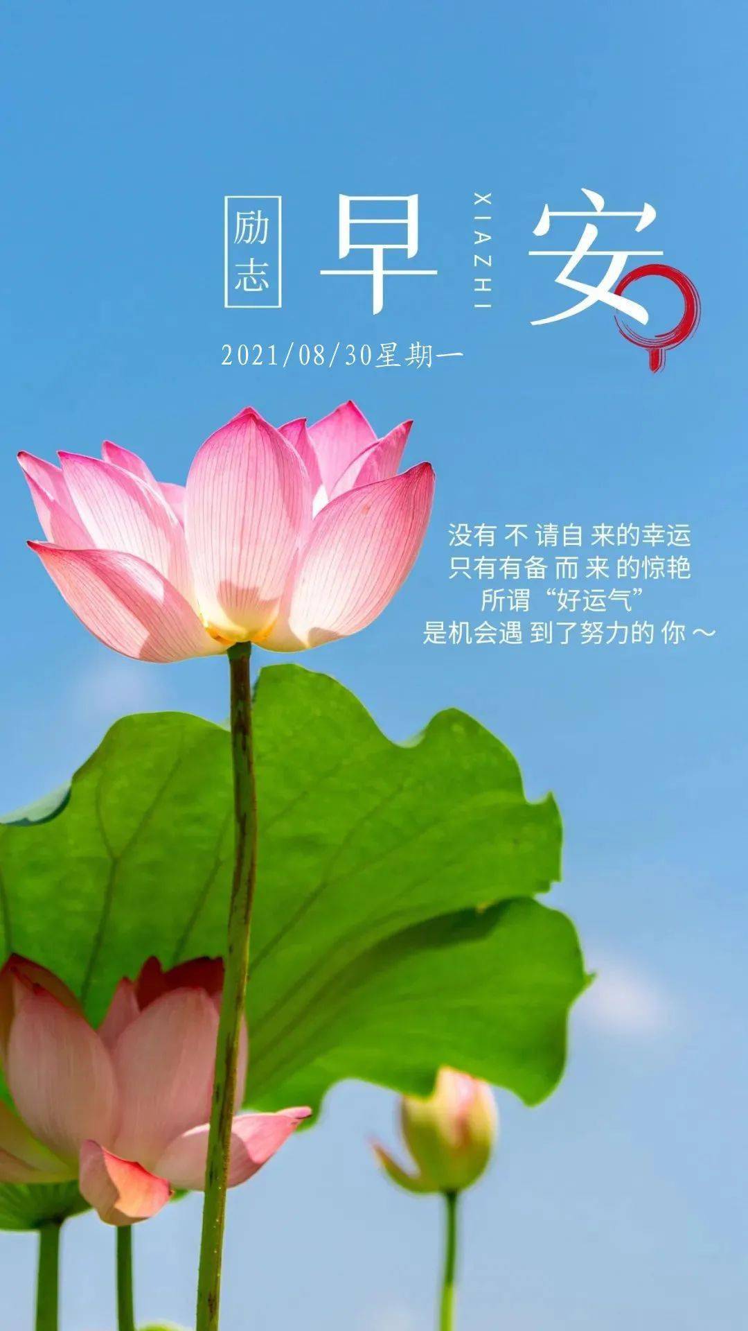 8月30日早安 