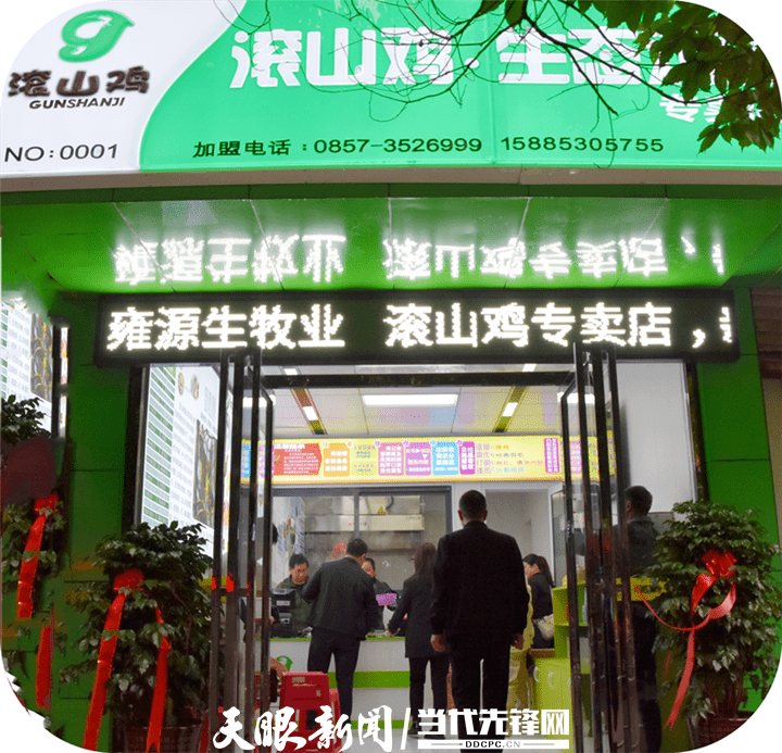 变"游击战"为"阵地战" 纳雍|企业改革见成效 源生牧业产量增倍