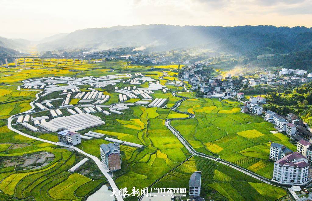 走进乡村看小康天柱县高酿镇秋收稻田调色板