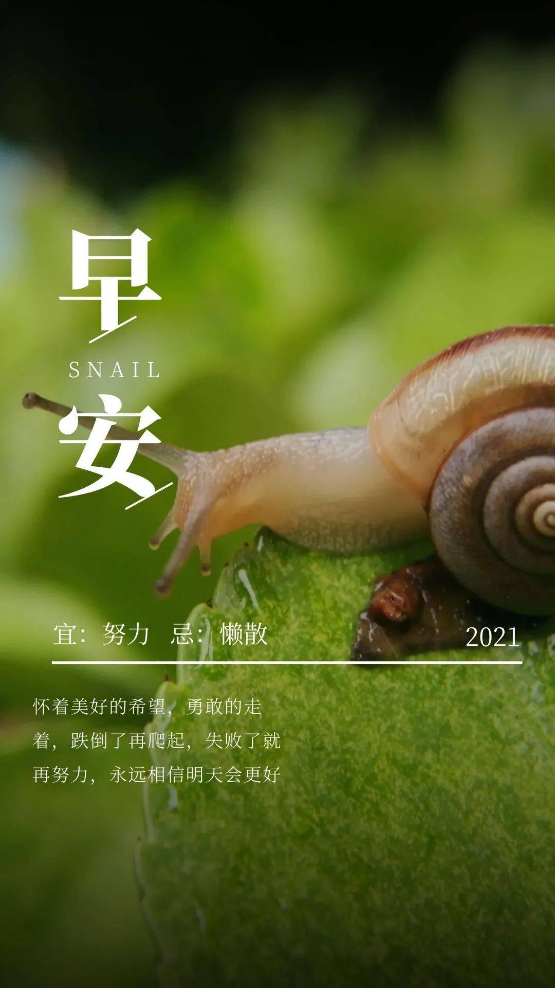 8月31日 早安 | 人生没有输赢