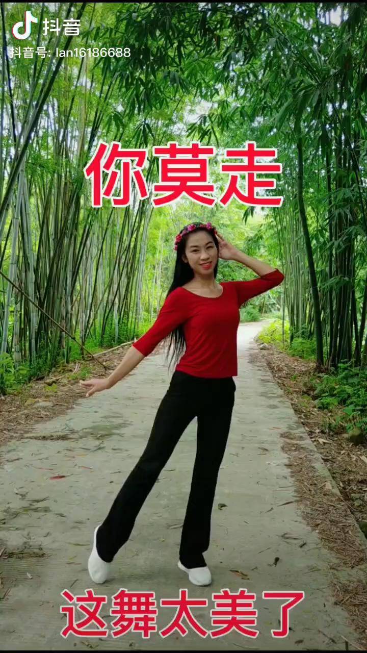 中有我对你的真情,歌中有你的温柔 女哥哥哥哥我不走,妹妹陪你到白头