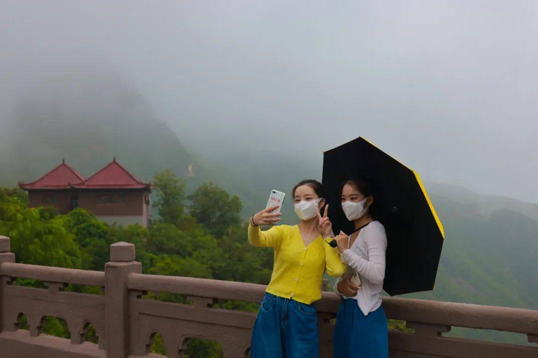 风里雨简谱_等风等雨我等你简谱