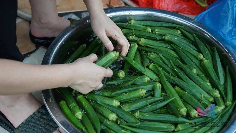 中药怎么洗掉农药残留 aed8757dac914e3383169bddbfcba6f1.jpeg