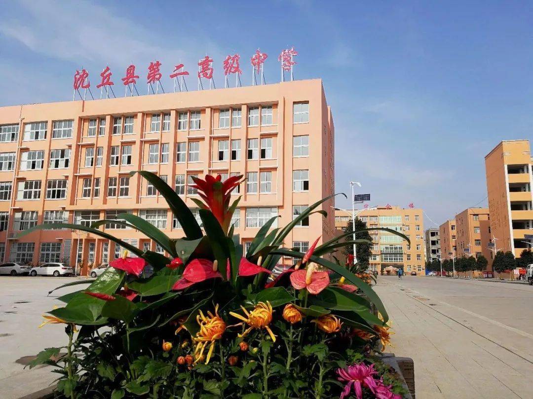  疫情的时候什么时候开学(疫情啥时候过去,啥时候开学)