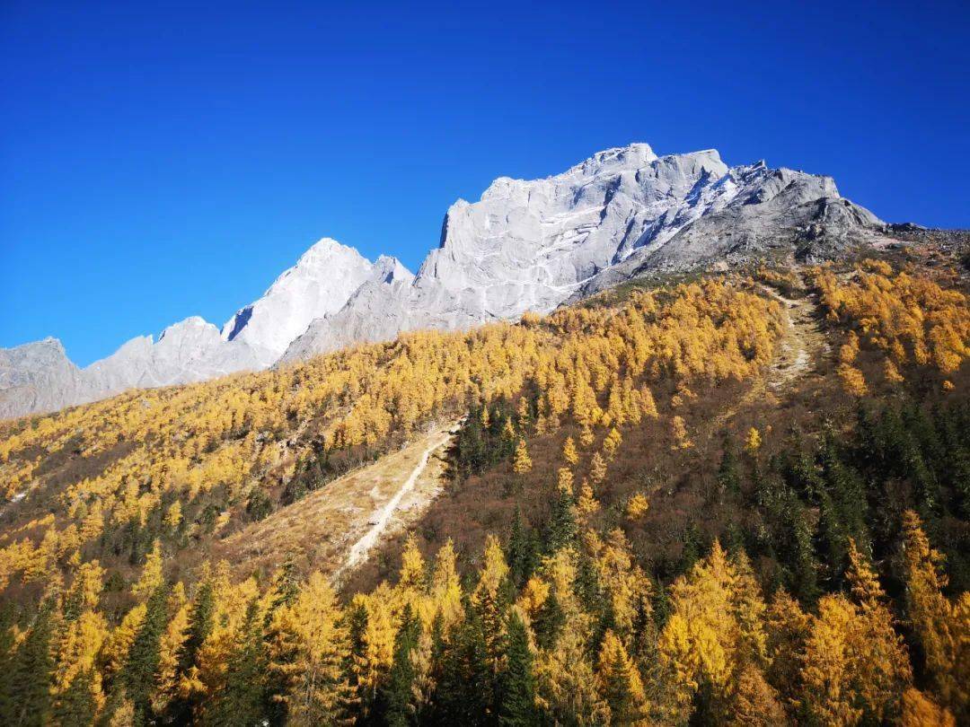 【行摄中国】10月23日-30日川西彩林九寨秋水黄龙奶子沟达古冰川四