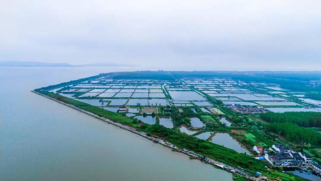 【贯彻落实党代会精神】访周铁镇镇长汤皓