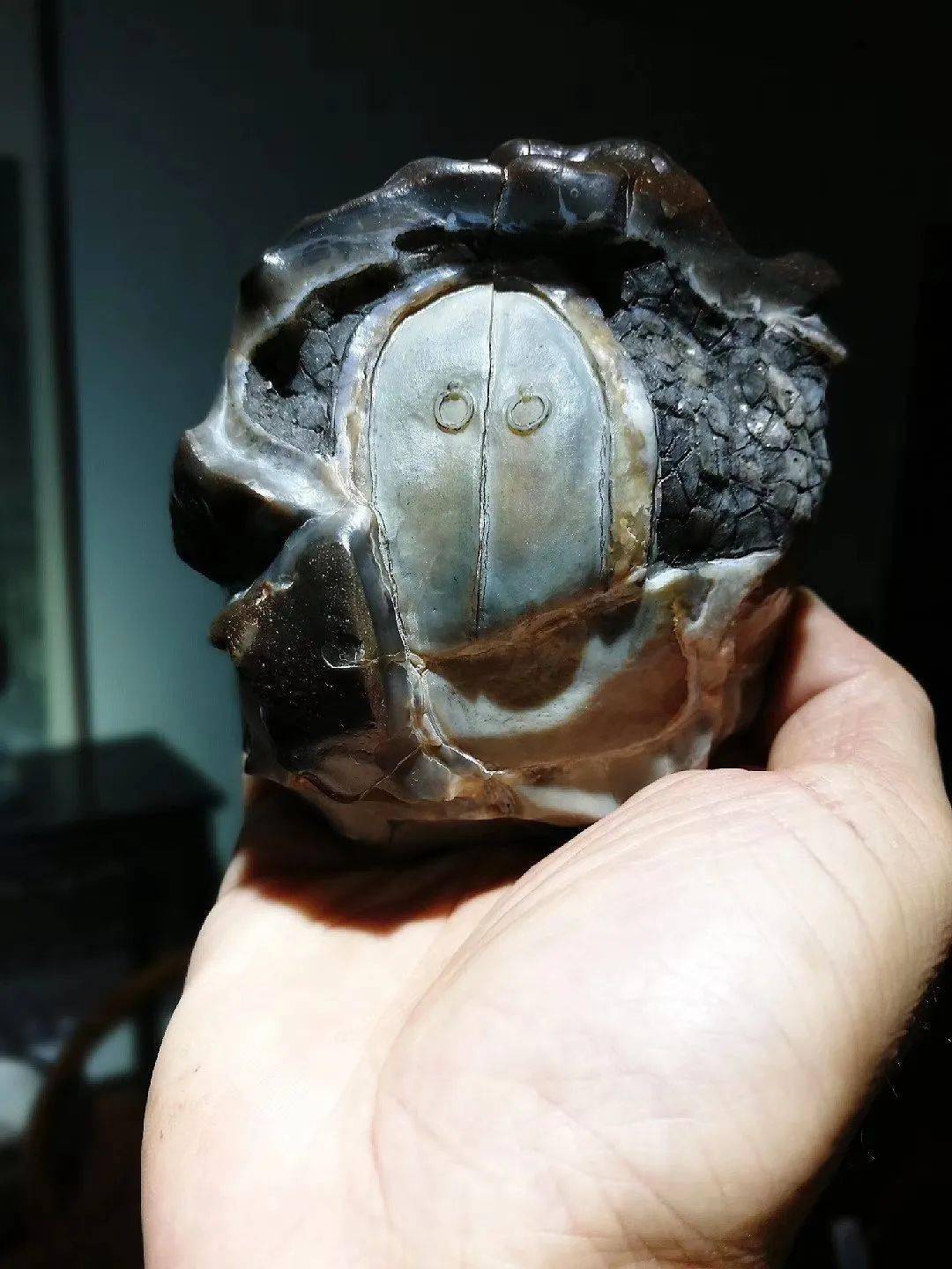 阿拉善玉|预见美好,方能遇见美好