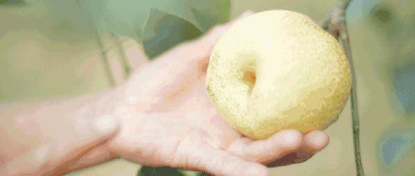 水果|入秋后，这3种水果千万别吃了！咳嗽上火找上门，尤其第2种，很多人都不知道！