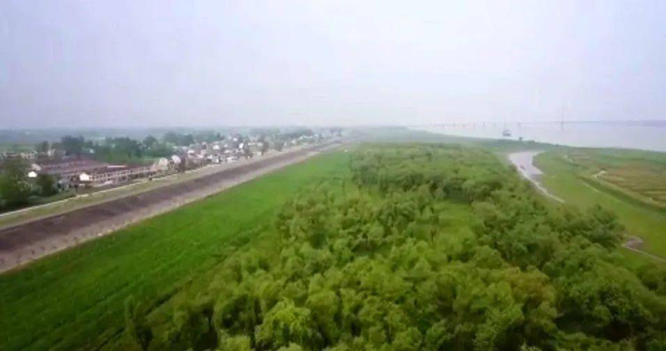 望江 75d4f5f1aa5d4c9aa6b70deaa82b6c14.jpeg