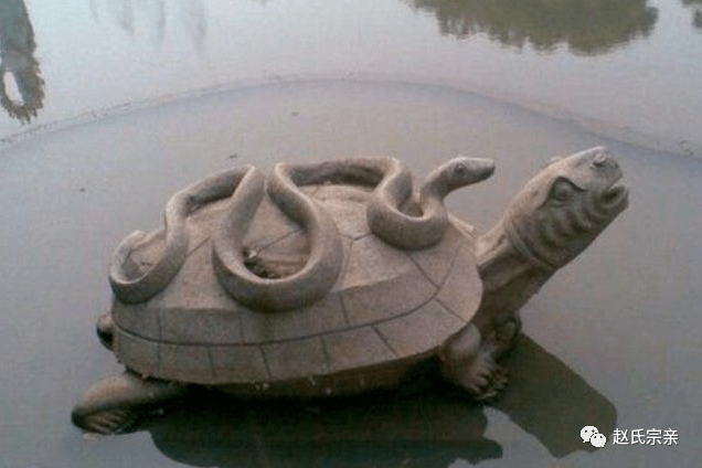 俗语龟背蛇腰不可交下半句更经典教你认清天下人