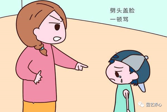 42162f05522042efaac1742dfebb3f2a.png