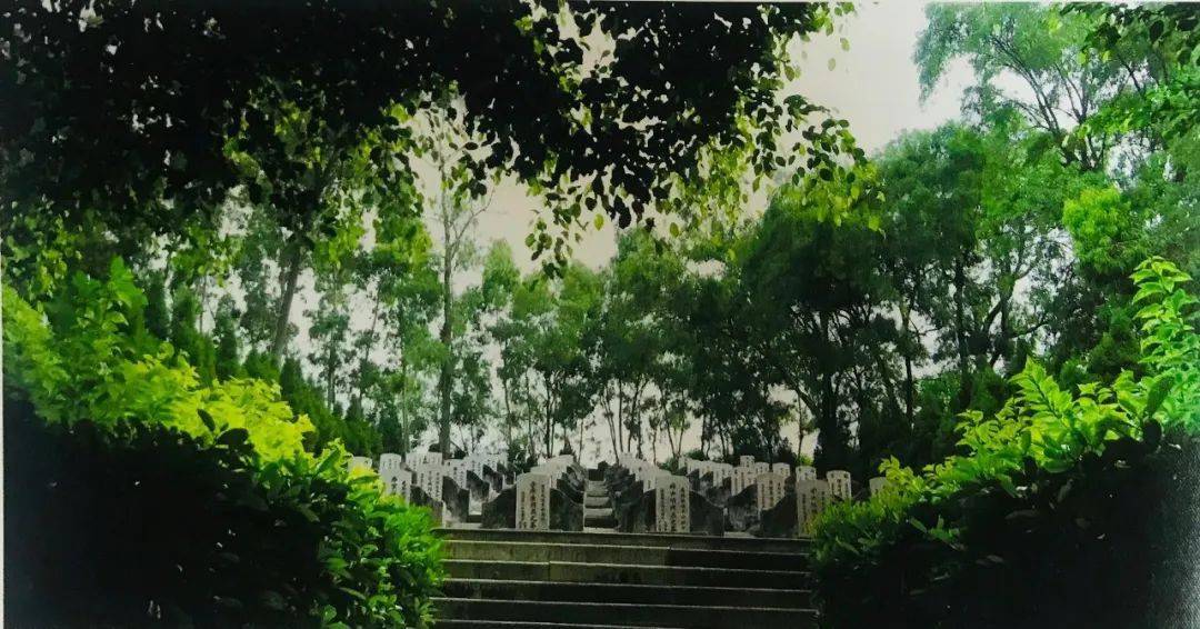 红色景点∣厦门革命遗址海沧革命烈士陵墓