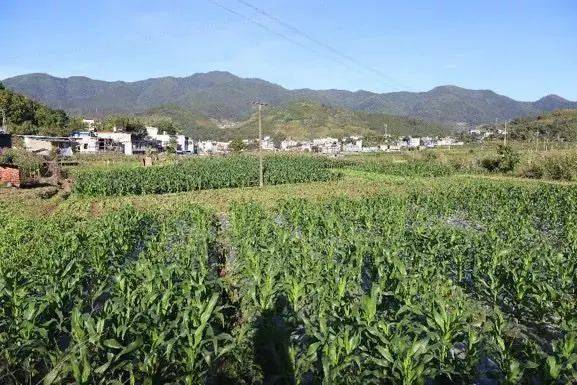 排放|技术流!今年这10项农业重大引领性技术,你知道几个?