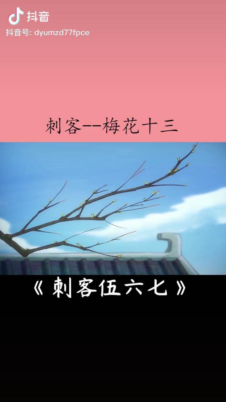 刺客梅花十三 刺客伍六七