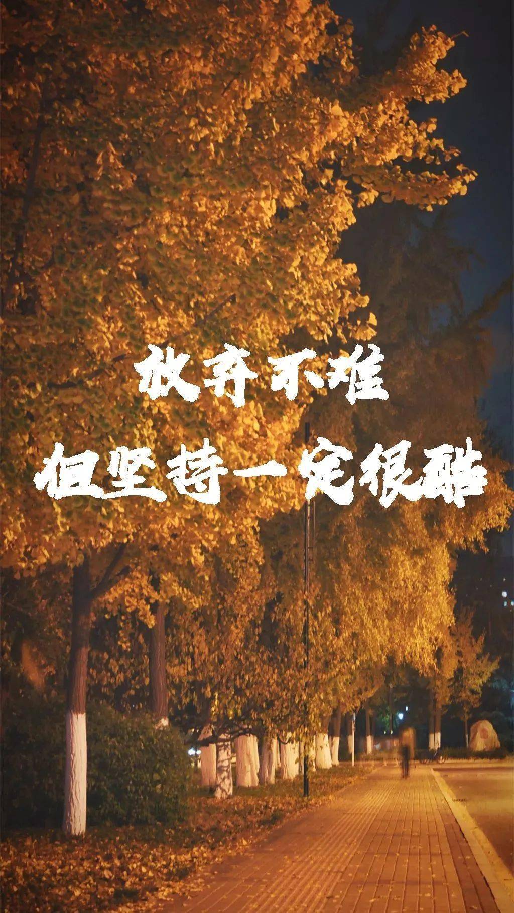 2022c773d5014d5cb02a51bbc455102a.jpeg