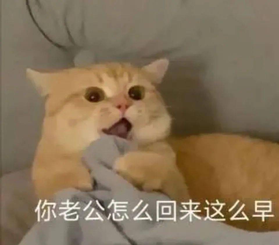 b0c8c274b47744eb93c6d3c5b0acfc15.jpeg