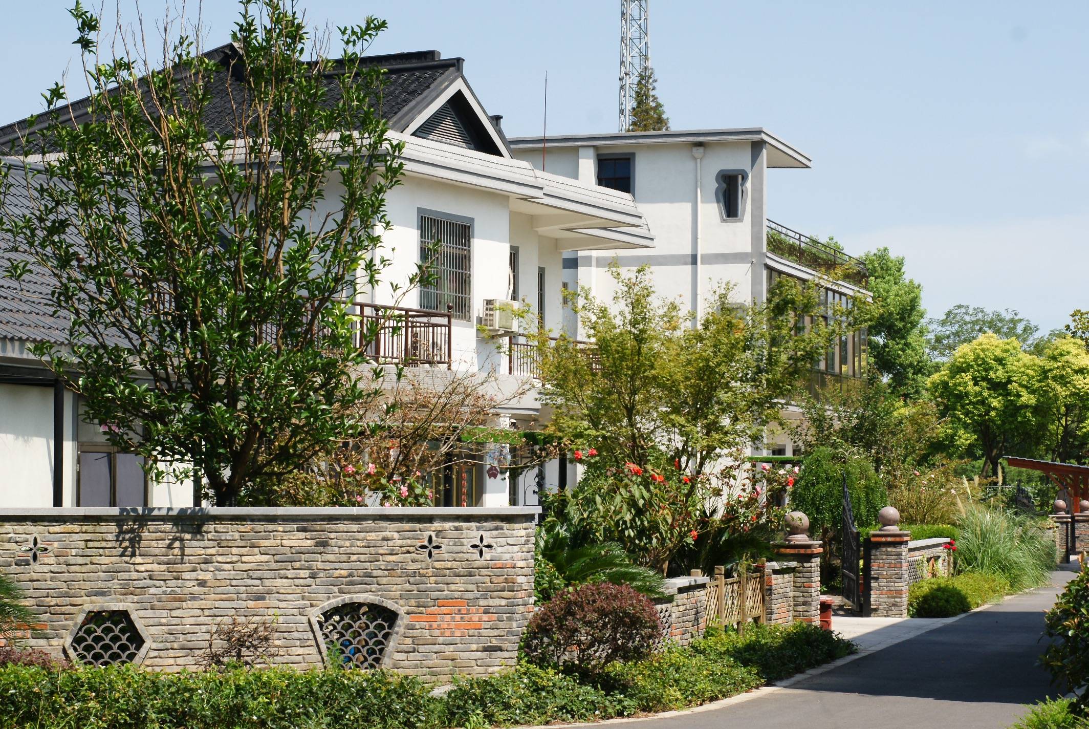 崇明岛有个森林乡村向往的田园近在眼前