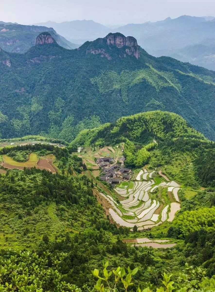 9月11号金黄的高山稻田公盂一个神仙居住的地方