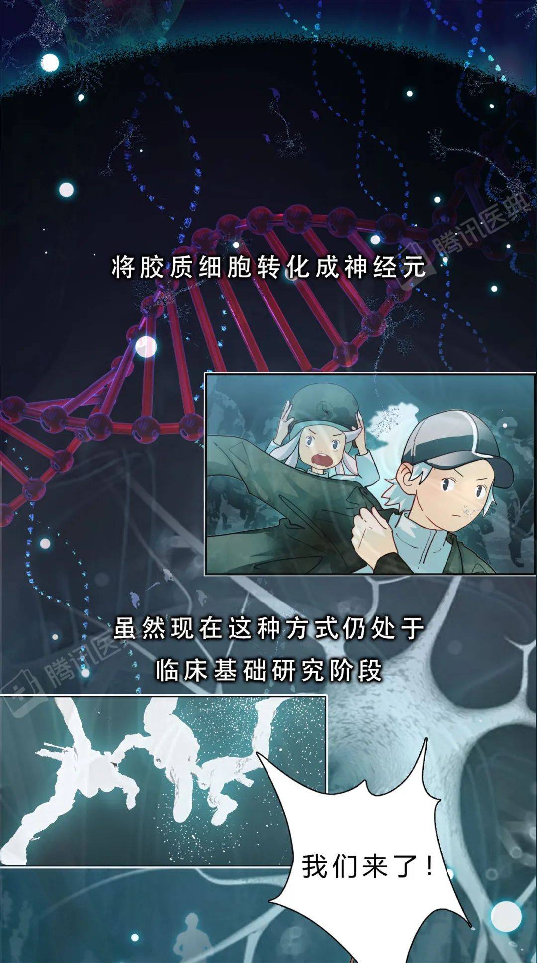 醫典|大腦里被稱作“膠水”的細胞，關鍵時刻會“豁出命”救你