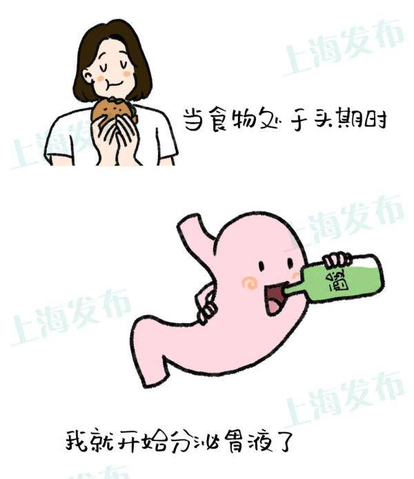 细胞|【医聊】从胃炎到胃癌，胃粘膜扛下了所有~