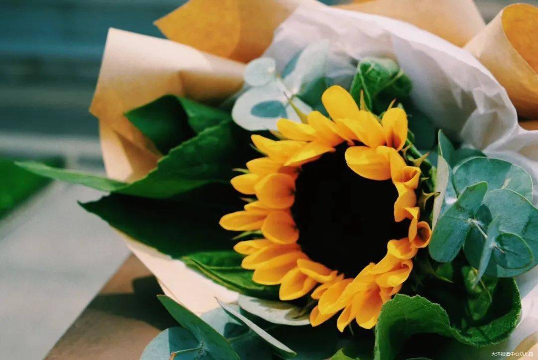 全体|请不要给我们爱的负担 | 大洋街道中心幼儿园教师节倡议书